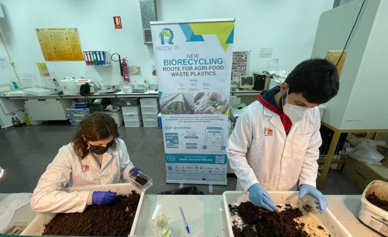 ﻿I rifiuti plastici del packaging industriale diventano cibo per insetti