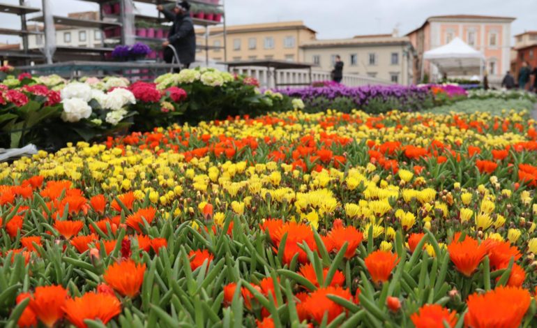 ﻿Fine settimana con i colori e profumi di Verde Pisa