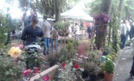 Festa di Sant’Ubaldo, tante novità, spettacoli e Fiera dei Fiori
