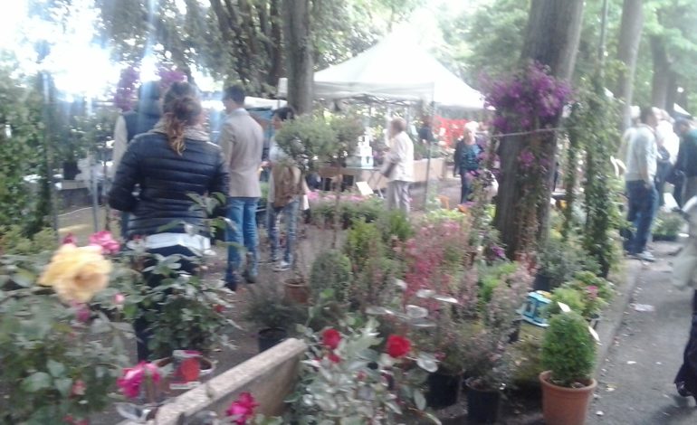 Festa di Sant’Ubaldo, tante novità, spettacoli e Fiera dei Fiori
