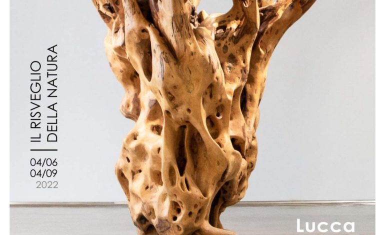 Al Palazzo delle Esposizioni di Lucca la mostra “Il Risveglio della Natura”, 45 opere dello scultore uruguaiano Pablo Atchugarry