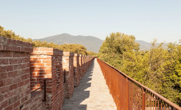 Visita guidata dal camminamento in quota all’orto botanico per scoprire la flora urbana