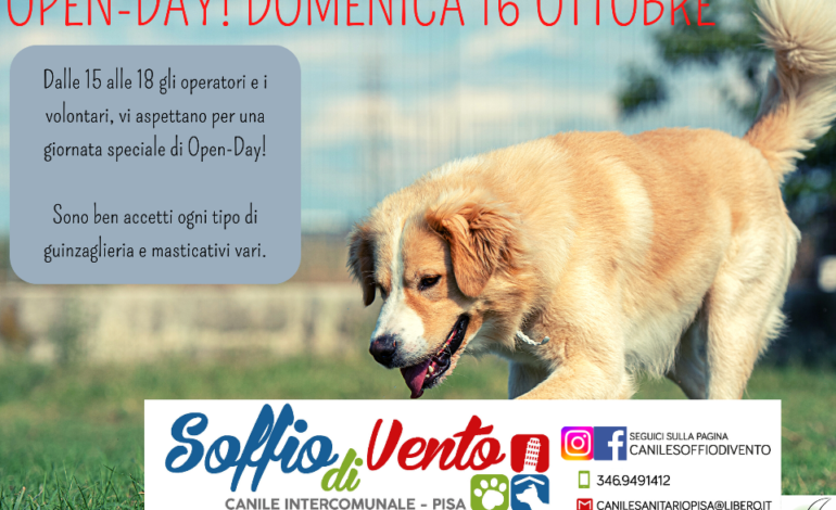 ﻿Domenica 16 ottobre festa al canile “Soffio di Vento” a Ospedaletto