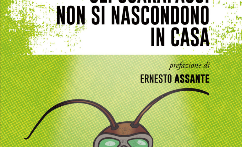 “Gli scarafaggi non si nascondono in casa”, il nuovo romanzo di Massimo Boddi