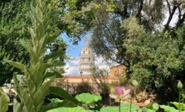﻿Visita guidata dal camminamento in quota all'orto botanico