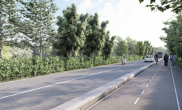 Approvato il progetto definitivo della pista ciclabile lungo viale delle Cascine