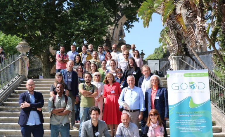 ﻿Ridurre gli erbicidi in agricoltura grazie ai microrganismi presenti nel terreno