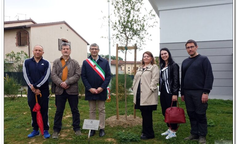 Un Melograno in memoria delle vittime migranti