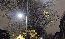 ﻿"Effetto hangover" sugli alberi ed autunno in ritardo in città per l’impatto dei lampioni LED