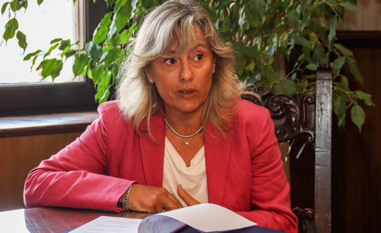In Comune tirocini per laureandi e neolaureati