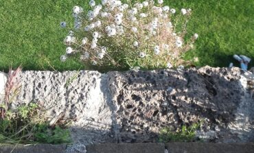 Visita guidata dal camminamento in quota all'orto botanico