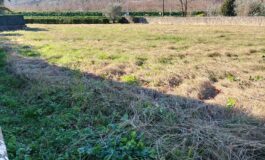 Elisabetta Mazzarri chiede chiarimenti sul progetto del parcheggio pubblico a Patrignone