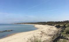 Masterplan della costa toscana: interventi anti-erosione e ripascimenti per proteggere la spiaggia naturale di San Rossore