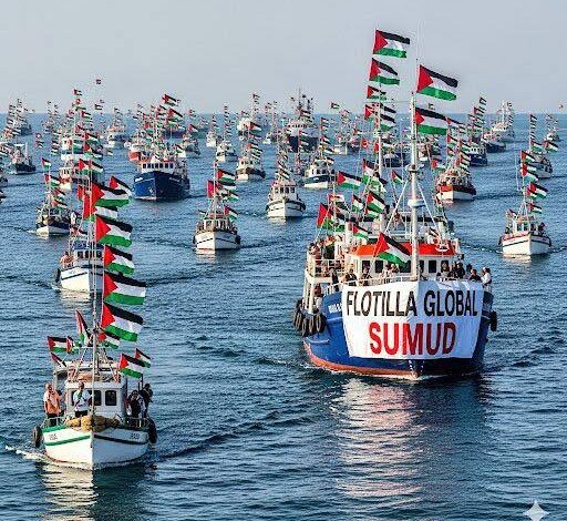 Flotilla per Gaza, liberati gli attivisti toscani: lo studente Federico Paganelli ed espulsi in Turchia