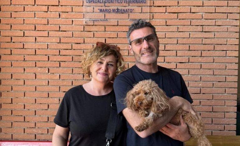 Eccellenza a Pisa: impiantato per la prima volta un pacemaker su un cane di piccola taglia