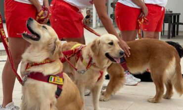A Tirrenia la Giornata mondiale della prevenzione dall’annegamento: dimostrazioni e soccorso per "Bandiera Blu: al mare in sicurezza"