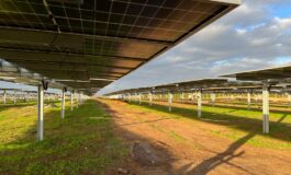 Energie rinnovabili e blockchain: Enel e Conio lanciano ebitts per l'autoproduzione digitale a Pisa e in tutta Italia